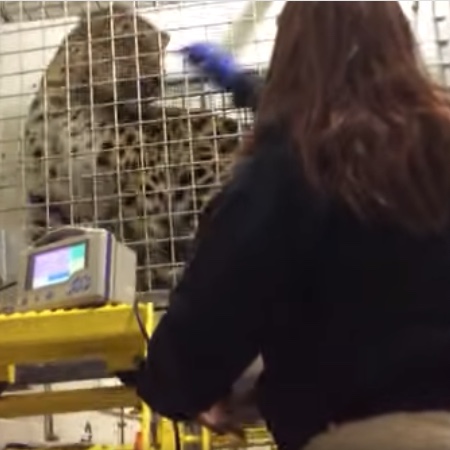 #TakeoverTuesday series