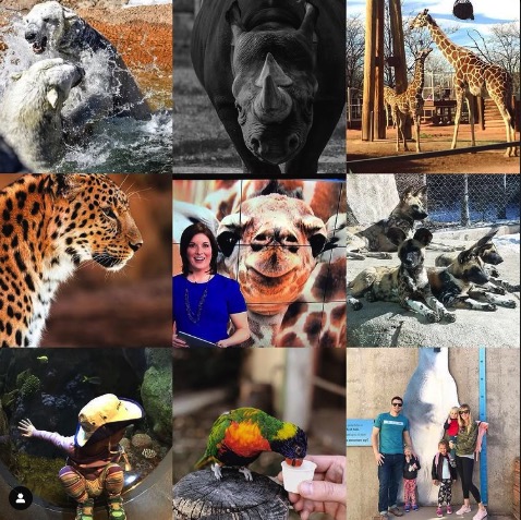 Guest UGC Denver Zoo